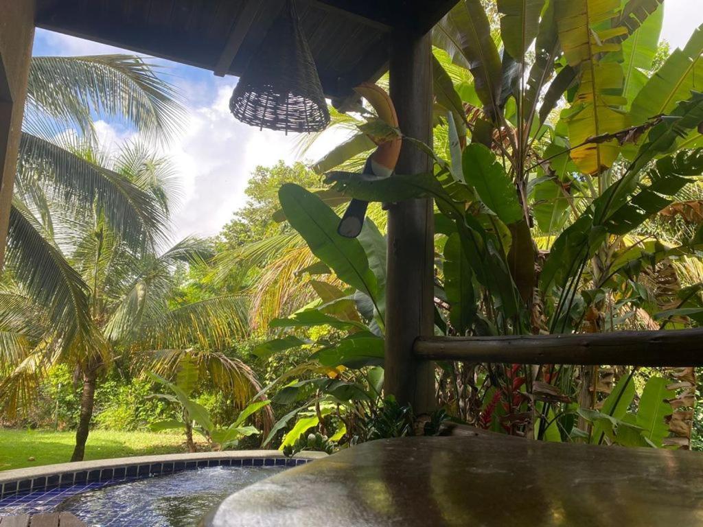 Maceió Prime Villas Do Pratagy מראה חיצוני תמונה